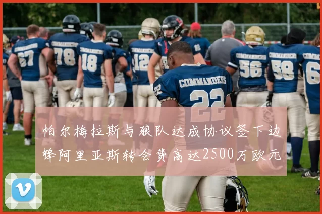 帕尔梅拉斯与狼队达成协议签下边锋阿里亚斯转会费高达2500万欧元